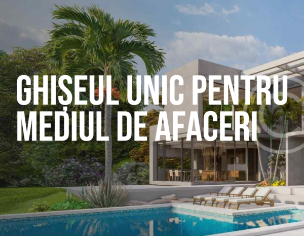Ghișeul unic